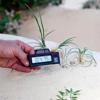 JBL TerraSand (hvid) 7,5 kg.